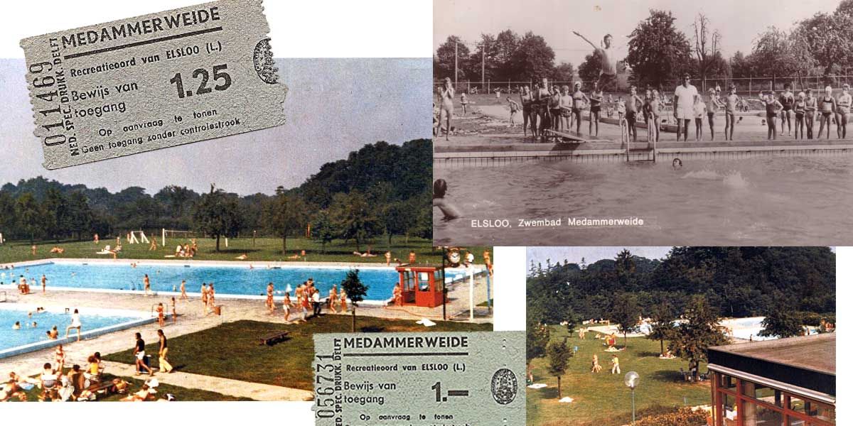 Medammerweide