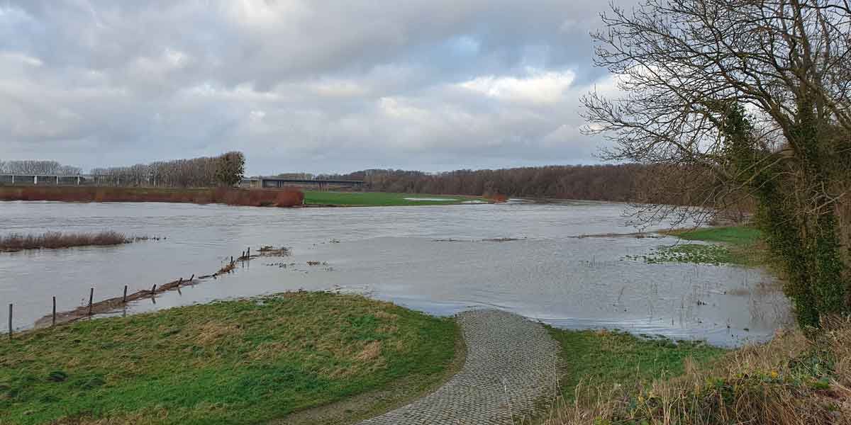 Maas bij Elsloo