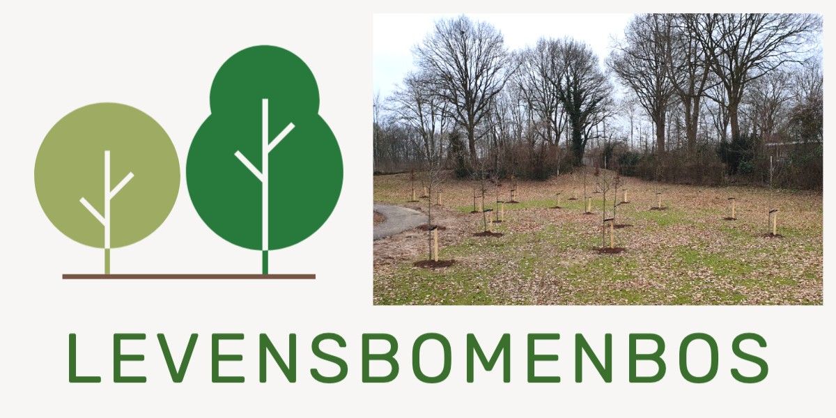 Levensboombos Past. Biermansstraat Elsloo