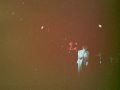 1984 utopia concert frank boeijen groep