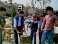 1984 utopia koninginnedag
