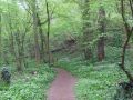 NL2 0792b IMG 4713