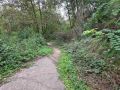 pasveersloot 19092026