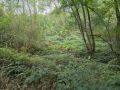 pasveersloot 19092026