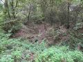 pasveersloot 19092026