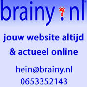 Reclamebanner Brainy