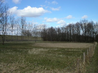 Het zuidelijk gedeelte van de “Sourenbaendj” met het restant van de “krome diek”. Nog steeds een drassig gebied met zuur gras.