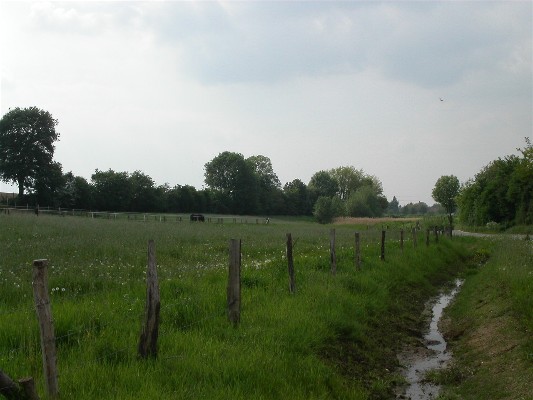 Het Putje in het Seeckendaal aan de grens met Beek. In het midden  ziet men het kleine beekje lopen. Op de achtergrond de Heestertgraaf en het Seeckendaalstraatje.