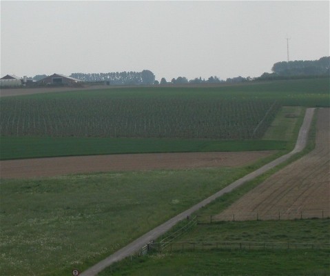 De Whakkel  en het Haestert gezien vanaf de Heuvel met boerderij Maas op het hoogste punt van Elsloo, 111 meter boven NAP