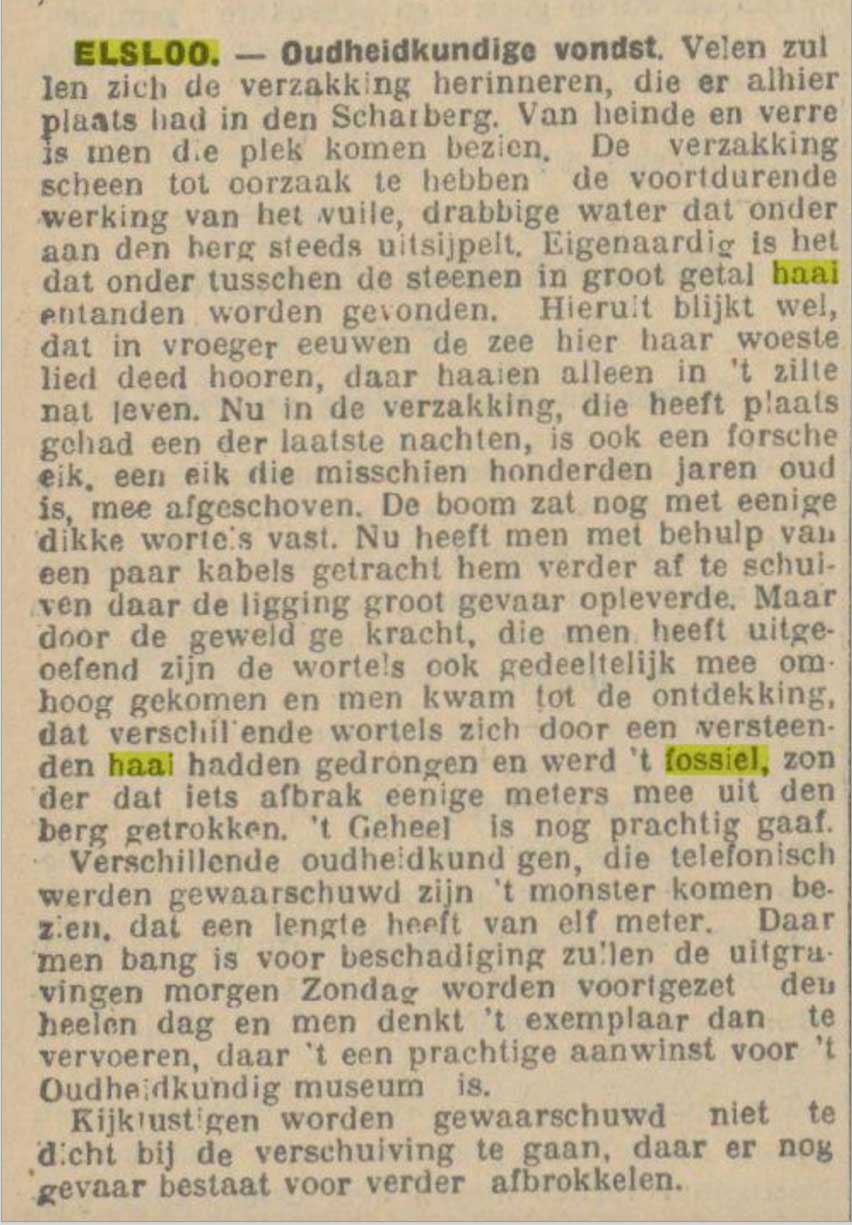 Limburger Koerier 31.03.1928 Haai