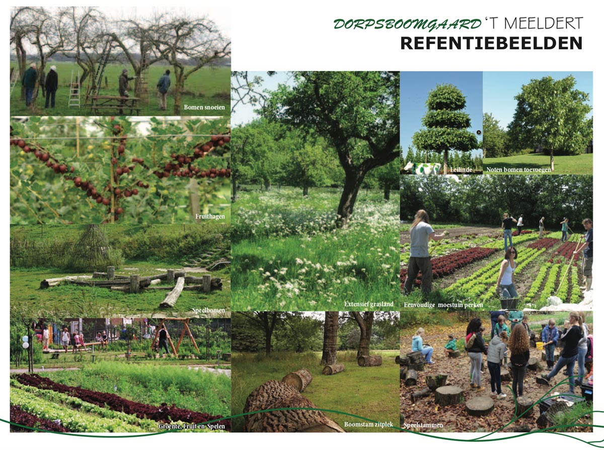 Dorpsgaard ’t Meeldert: groene ontmoetingsplek voor inwoners