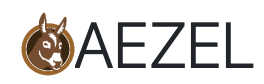 logo aezel project