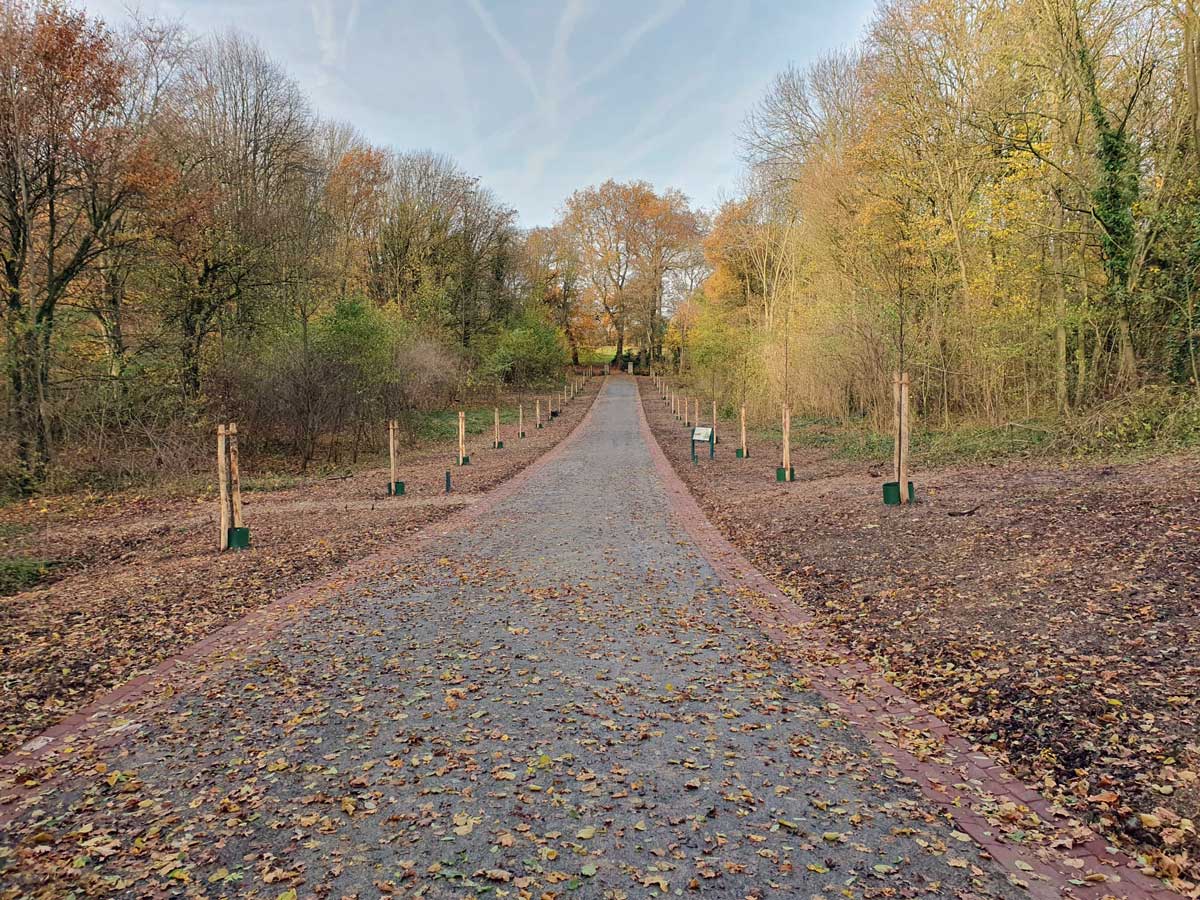 Elsloo Slakbergweg 25.11.2024 02