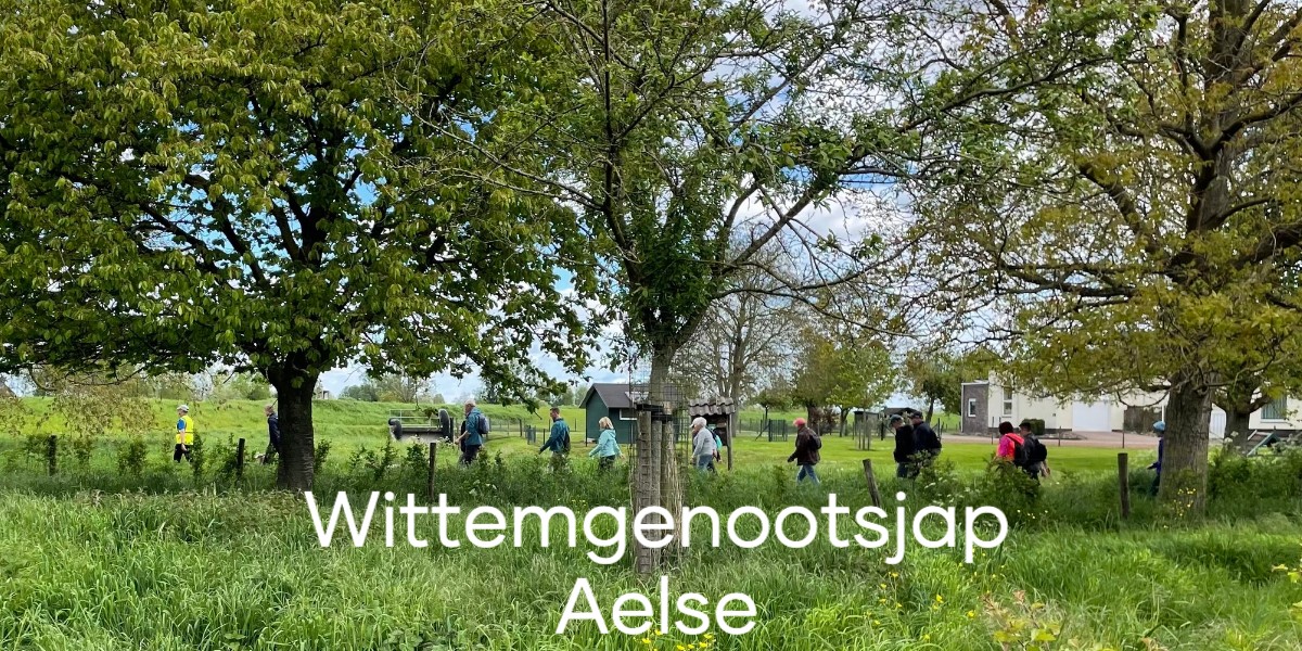 rawpixel wittemgenootsjap 01 design 01j7jgb8s5 1726513980