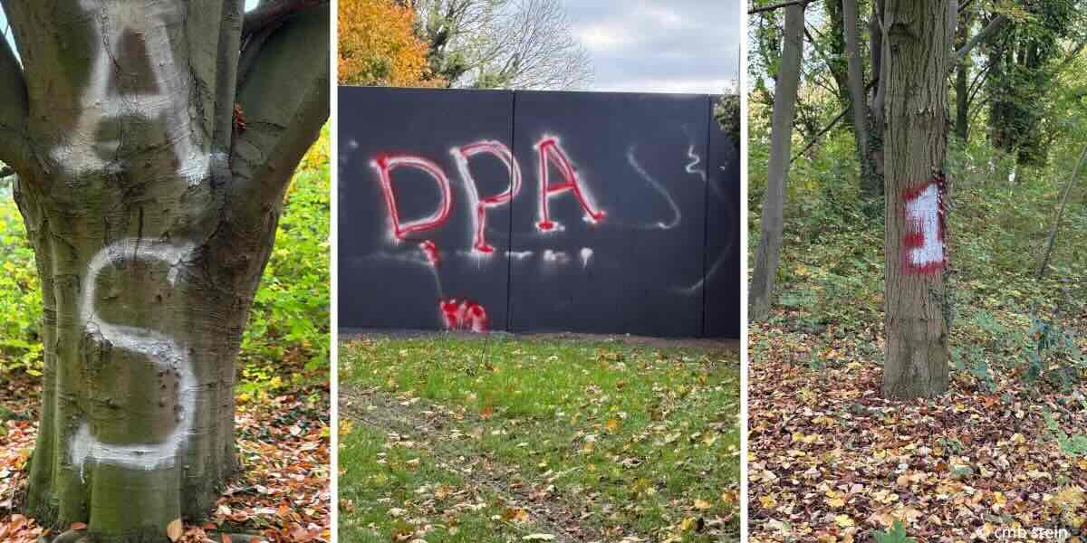 rawpixel cmb kasteelparkt 11.2025