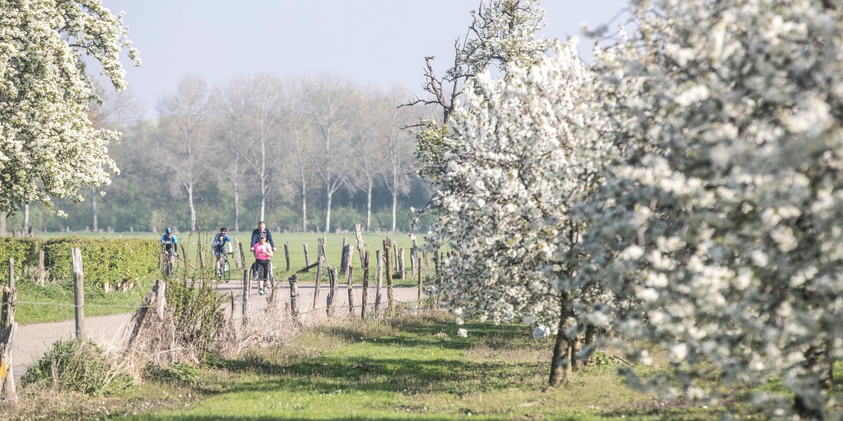 Visit Zuid-Limburg lente bloesem