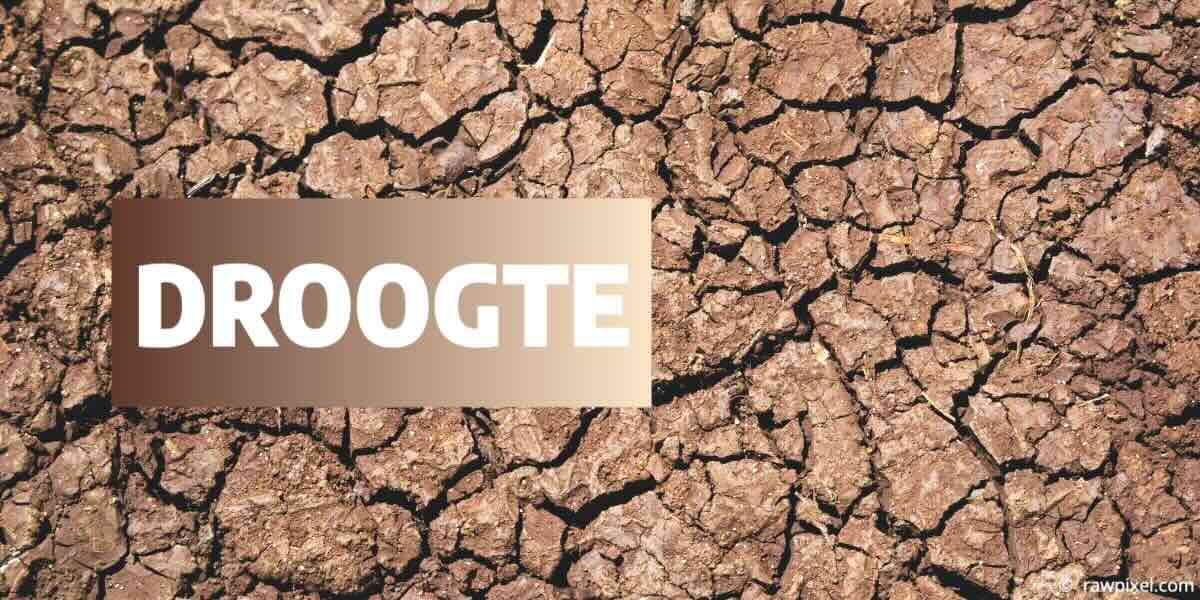 Droogte