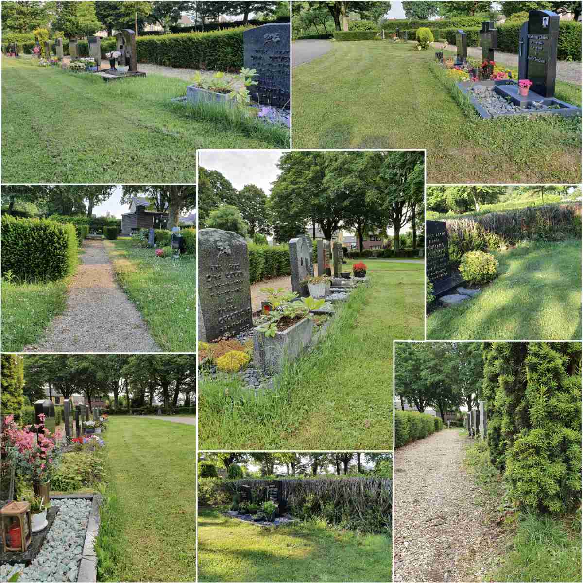 Slecht onderhoud begraafplaats Pastoor Haesenstraat Elsloo