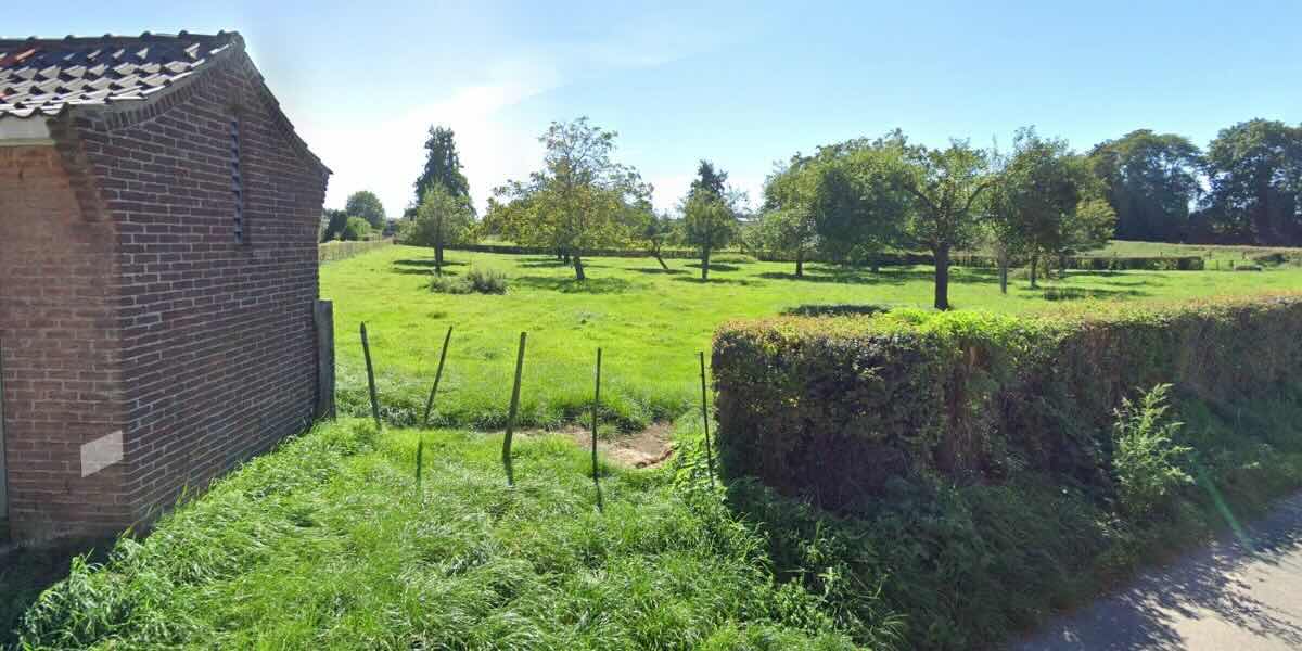 rawpixel weiland OpDeDries Catsop