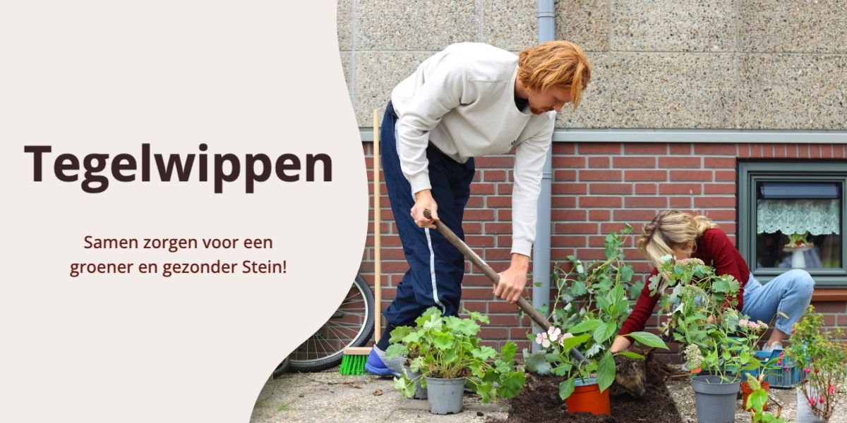tegelwippen in Stein