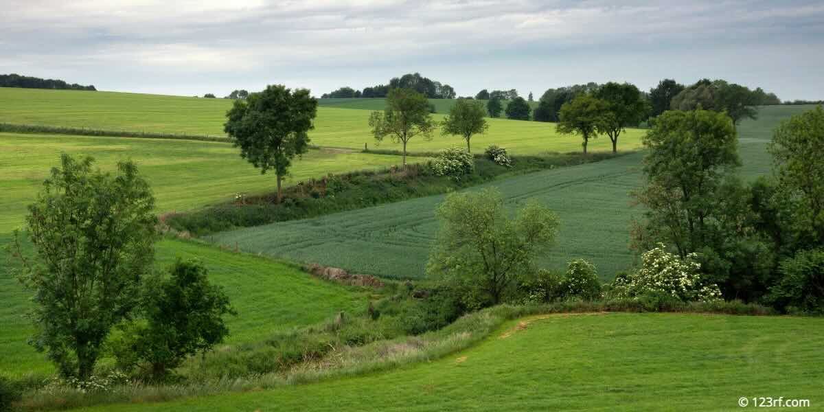 Zuid-Limburgse heuvelland