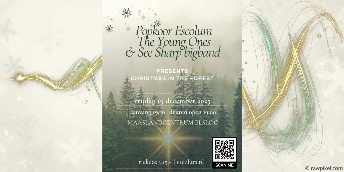 Christmas In The Forest