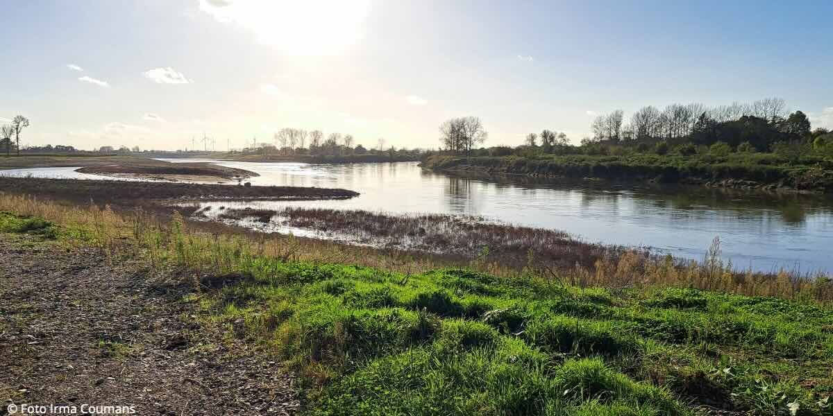 Gemeente Stein kijkt tevreden terug op het toeristisch jaar 2025. 