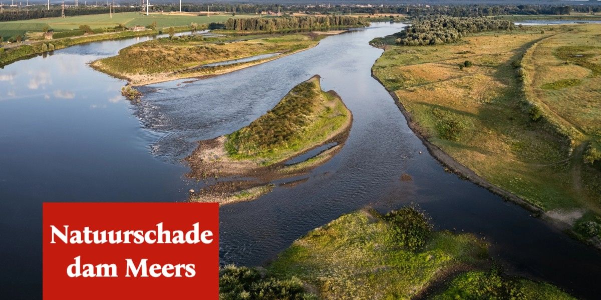 Natuurschade verwacht door enorme dam bij Meers